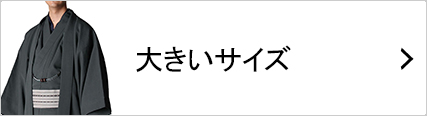 大きいサイズの着物セット