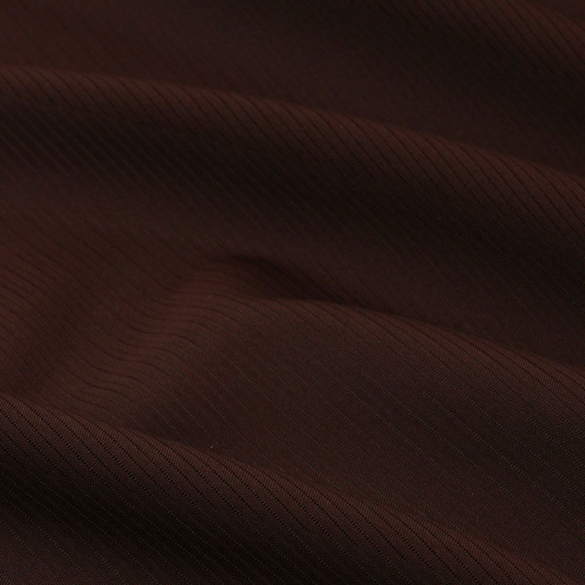 東レシルック 薄物 駒絽