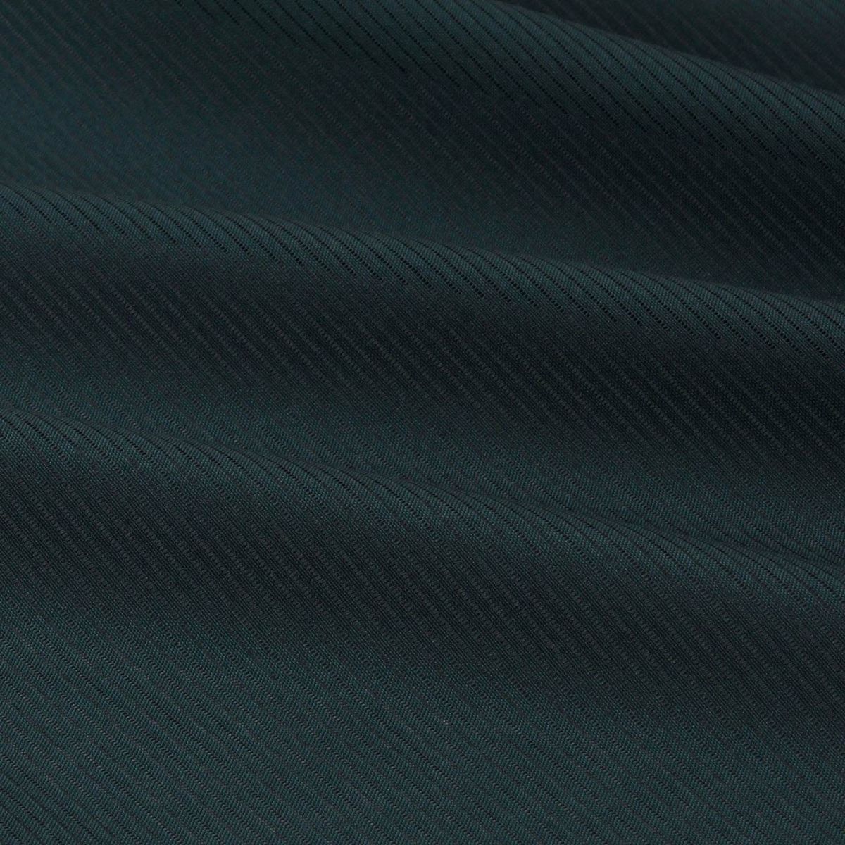 色紋付 東レシルック 薄物 駒絽